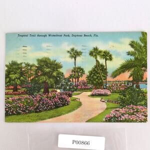Tropical Trail Waterfront Park Daytona Beach Florida 1940s Linen Postcard 1954
